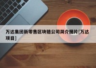 万达集团新零售区块链公司简介图片[万达 项目]